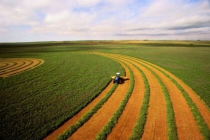 Campo de soja - Foto: Gettyimages