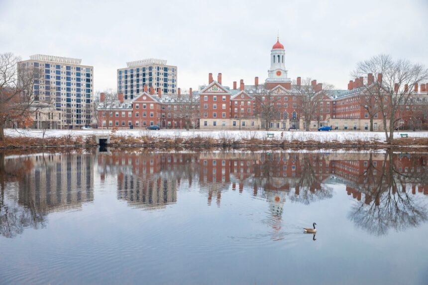 Embaixadoras de institutos brasileiros dizem que foram alvo de racismo de 3 alunas em Harvard | Empresas