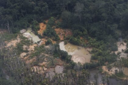 Estudo revela contaminação de indígenas Yanomami por mercúrio