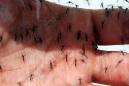 Governo Lula reduziu em 58% gasto com campanhas contra dengue em 2023, mesmo com alerta de epidemia