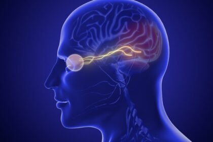 Sinais precoces de Alzheimer podem começar pelos olhos, sugere estudo; veja o que isso significa