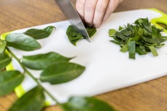 Web - ora-pro-nóbis NAO UTLIZAR APOS A DATA  DA PUBLICAÇÂO  EM CASO DE DUVIDA FALAR COM A FOTOGRAFIA Female hands chopping ora-pro-nobis on cutting board. Pereskia aculeata is a popular vegetable in parts of Brazil